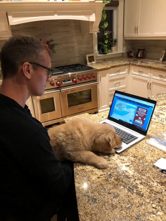 A man works in a kitchen at a laptop with a yellow puppy