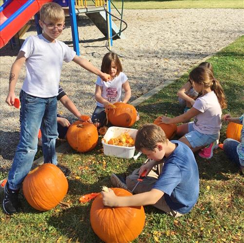 Students carve pumpkins outdoors on a sunny day