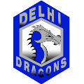 Delhi Logo