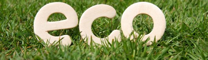 Eco Schools