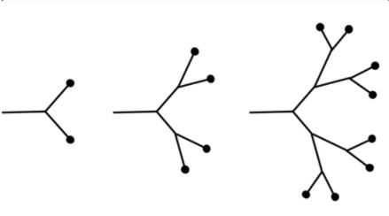 Tree node photo