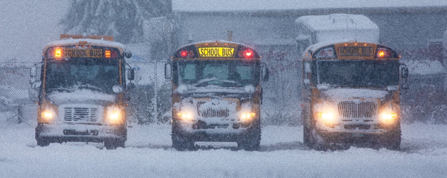 Front of three school busses in snow