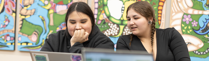 Indigenous Education Banner