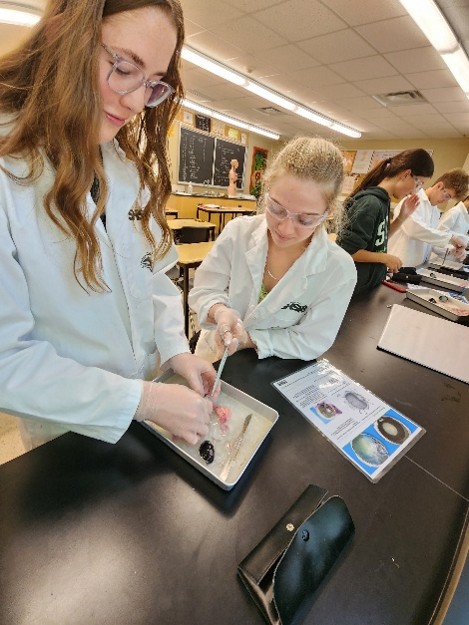 Students completing an in-class science experiment